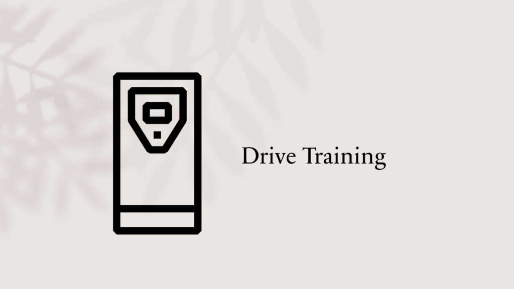 drive training image