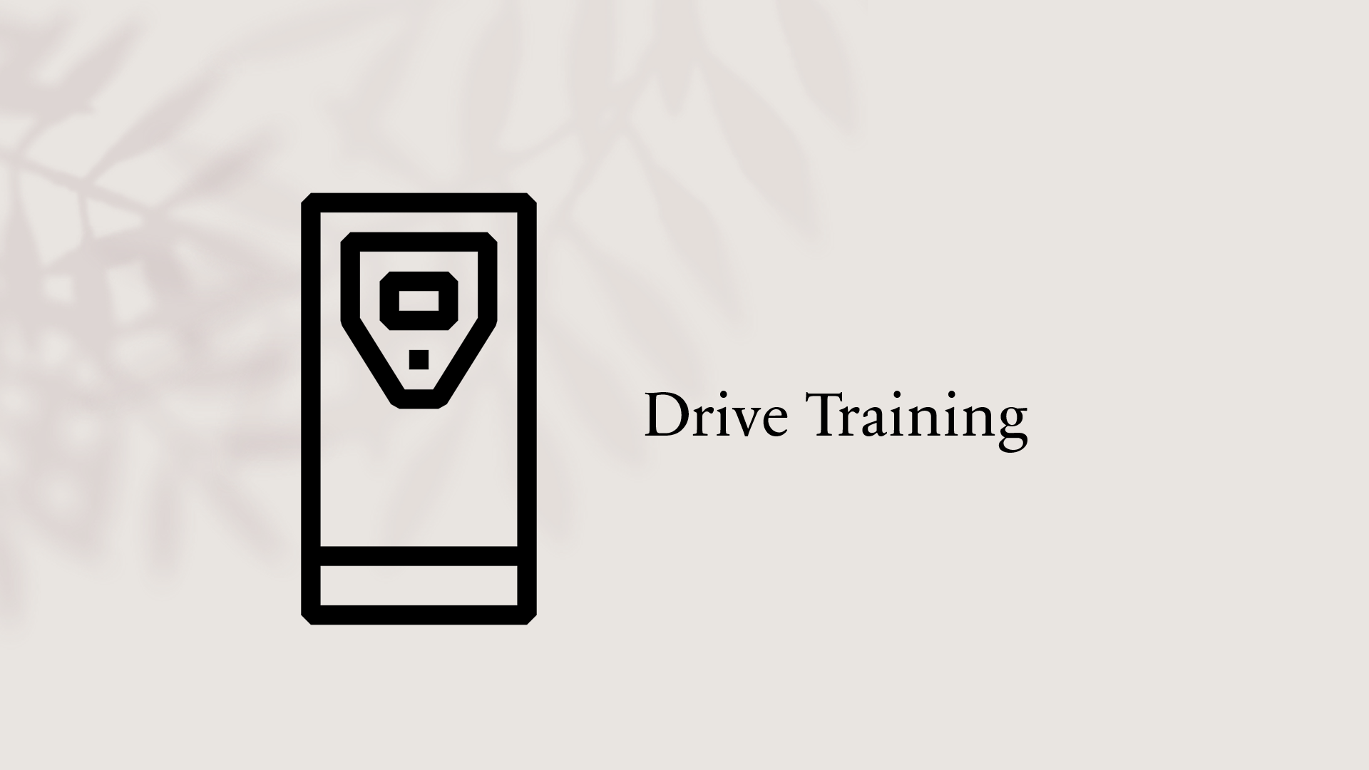 Drive Training Click2Electro drive-training-click2electro